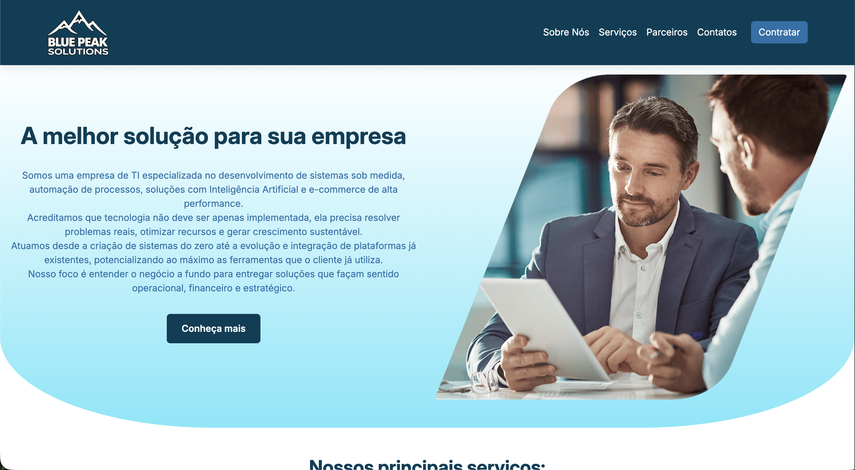 Preview — Blue Peak Solutions